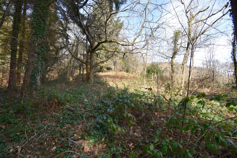 Land- click for photo gallery